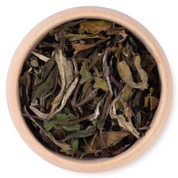 CHINA PAI MU TAN FUJIAN