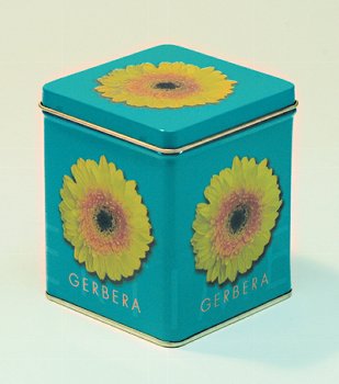 DO.GERBERA 100G/ECK.12