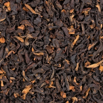 ASSAM MALTY BROKEN TGFBOP SCHWARZTEE
